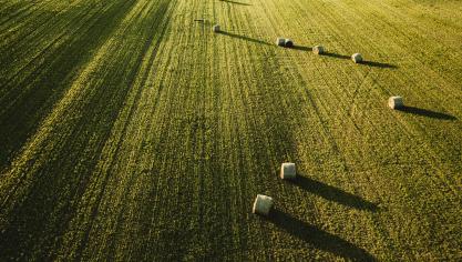 large-beautiful-agricultural-field-with-stacks-hay-shot-from