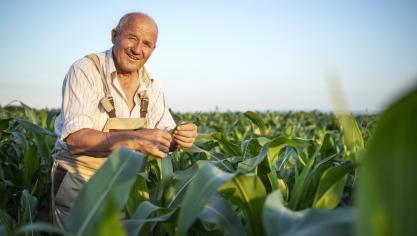 portrait-senior-hardworking-farmer-agronomist-corn-field-checking-crops-before-h