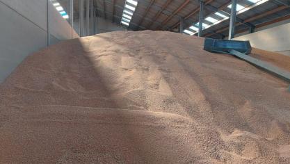 Les conditions de stockage sont essentielles pour une bonne conservation du grain, alerte Fegra.