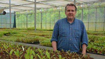 Plusieurs milliers de plants, présentés ici à différents stades de croissance, quittent chaque année Ferrières à destination de l’Europe entière, voire au-delà.