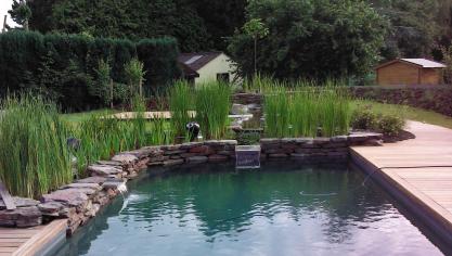 Dans un étang de baignade, l’eau de la zone de baignade est filtrée par les plantes occupant la zone de lagunage.