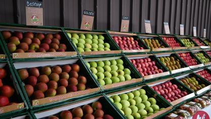 Les produits belges les plus achetés sont les fruits et légumes.