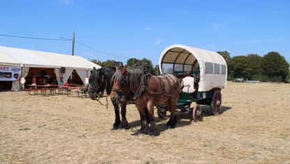 Au programme de la fête, une démonstration de ferrage des chevaux, un atelier de ferronnerie et de coutellerie, du battage, des promenades en chariot.
