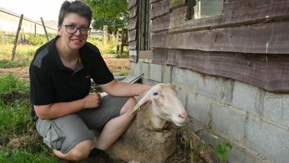 Cette brebis a souffert de boiterie, d’hyperthermie et d’une chute de lactation. Aujourd’hui, elle se porte, heureusement, mieux.