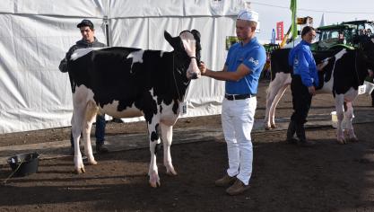 La célèbre Ecole des jeunes Eleveurs, dont ce sera la 22ème édition, est le fleuron de la Foire de Battice.
