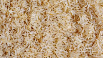 rice-3505977