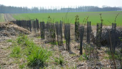 Le projet s’adresse aux agriculteurs, mais aussi  aux particuliers, entreprises, écoles...