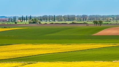 En Flandre et à Bruxelles, un agriculteur sur cinq (soit 3.652 agriculteurs) exploite au moins 10% de terres publiques.