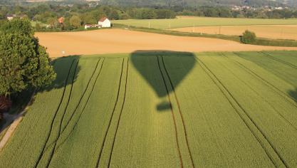 Toutes les variétés n’ont pas la même aptitude à être semées à la même période de l’année.