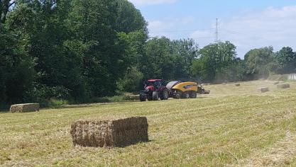 La condition première et essentielle de qualité d’exploitant agricolene suffit pas, ou en tout cas ne suffit pas toujours.