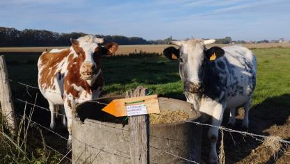 Trois fermes ouvriront leurs portes le 6 octobre.