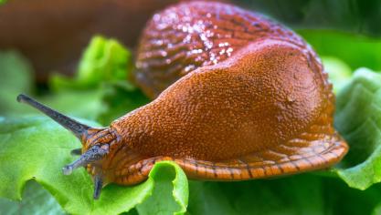 AdobeStock_54721053