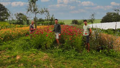 La biodiversité cultivée, c’est le domaine d’action et de prédilection de Thomas Bleeckx, Benoît Delpeuch et leur petite équipe qui se cache derrière Anthesis, projet pionnier dans la production de semences bio.