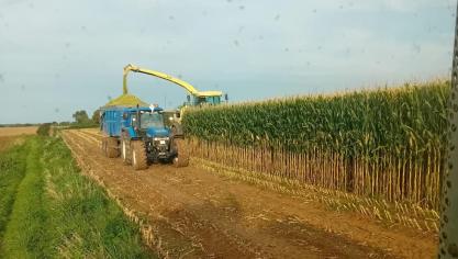 Pas d’urgence dans les récoltes mais il faut rester vigilant.