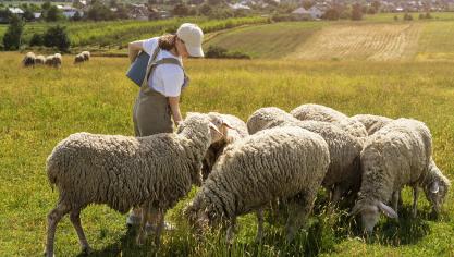 En 15 ans de temps, l’Europe a perdu près de deux millions de petites fermes.