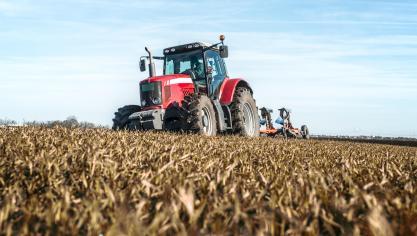 Pour 2024-2025, la production céréalière de l’UE est estimée à 260,9 millions de tonnes, soit environ 7 %  de moins que la moyenne quinquennale.