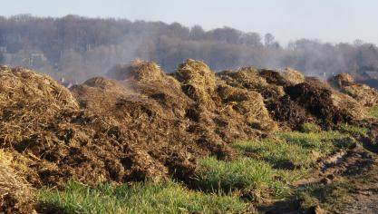 Les fumiers, fientes et composts représentent une potentielle source de pression sur le captage.