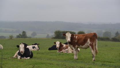 Le prix moyen de l’hectare de biens immobiliers agricoles non bâtis entièrement situés en zone agricole s’établit à 39.216€.