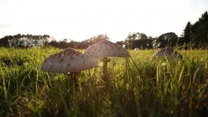 AdobeStock_70083577