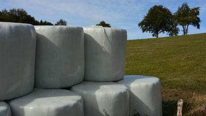 Les collectes sont organisées à Binche, Manage,  Morlanwez, Ecaussines, Estinnes, Le Rœulx et Seneffe.