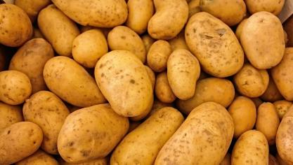 potatoes-411975_1920