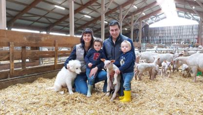 Le couple, avec leurs deux garçons Victor et Achille, s’est installé en 2019. Avec un cheptel de 1.600 brebis, il vend sa production aux boucheries, restaurateurs et particuliers.