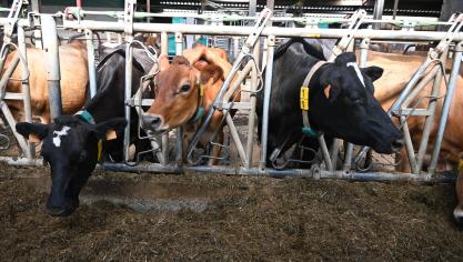 Les producteurs laitiers ont réalisé ces dernières années d’importants efforts dans divers domaines, comme le bien-être animal, l’énergie, l’environnement, le climat ou encore la gestion del’eau.