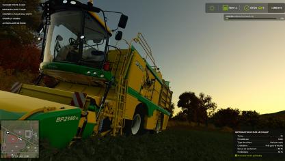 Lever de soleil dans le champ de haricots avant de démarrer  la récolte.