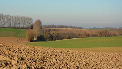 Les nouveaux coefficients sont applicables aux baux  à ferme dont la date anniversaire est postérieure  au 31 décembre 2024 (soit depuis le 1 er  janvier 2025).