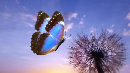 AdobeStock_1029374427