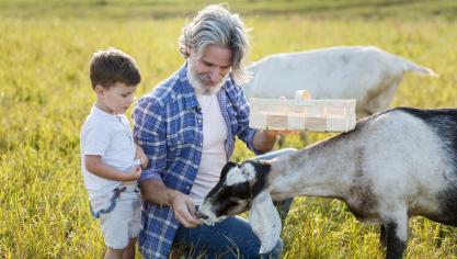 grandpa-little-boy-feeding-goat