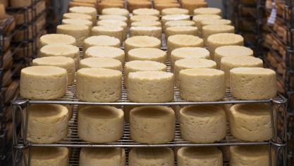 cheese-5125021