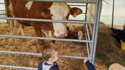 Ce rendez-vous est aussi l’opportunité pour le jeune public de s’approcher des animaux de la ferme.