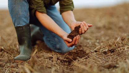 Le recensement a permis d’identifier 191 ACistes en Wallonie, représentant 1,5% des exploitations agricoles wallonnes, ou 5,5% de celles spécialisées en grandes cultures.