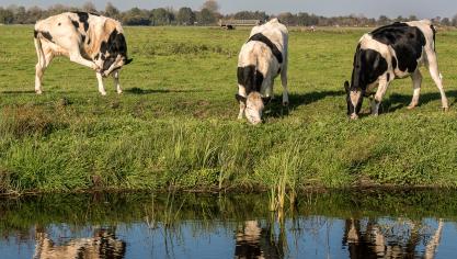 En 2021, seulement 39,5% des masses d’eau de surface en Europe étaient en bon état écologique.