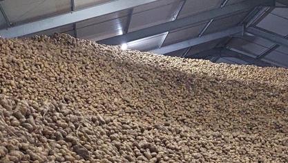L’occasion d’échanger sur le thème de la pomme de terre.