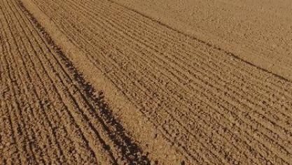 Pour les orges brassicoles, la date idéale de semis en Belgique se situe entre la mi-février et la mi-mars.