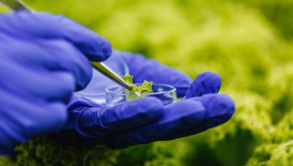 «Le règlement garantira une protection solide de la santé humaine, animale et environnementale, tout en assurant que le secteur de la sélection végétale soit sûr, transparent et compétitif», affirme le Conseil.