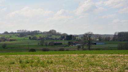 DSC_6048