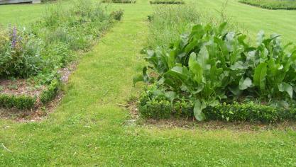 Les fumiers et composts sont incorporés très superficiellement lors des opérations de préparation et de décompaction du sol. Dans certains potagers ou jardin, il est choisi de les apporter uniquement en surface. Pour des règles d