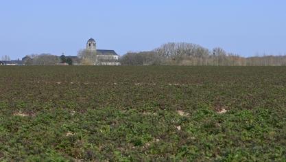 C’est sur les épaules du bailleur que repose l’obligation de prouver que le projet soutenant le congé est respecté ou, s’il ne l’est pas, que le bailleur doit faire face à un motif grave justificatif.