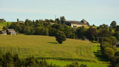 En Ardenne, les rendements et la qualité ont fortement augmenté en 20 ans, passant d’une moyenne de 12 t/ha et 866 VEM à 16,5 t/ha et 917 VEM avec des productions dépassant 18 t/ha certaines années.