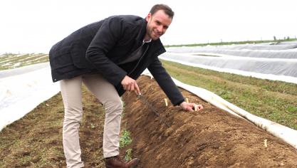 Le groupement « Asperges de Wallonie » encourage les circuits courts : vente directe à la ferme, marchés,  magasins de produits locaux.
