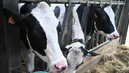 Á la ferme expérimentale.