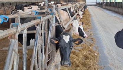 Des jours à l’école et à la ferme.