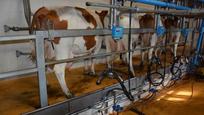 Bien que la FCO ait eu un impact sur la production laitière moyenne par exploitation, celle-ci s’affiche en hausse, à 541.201l.