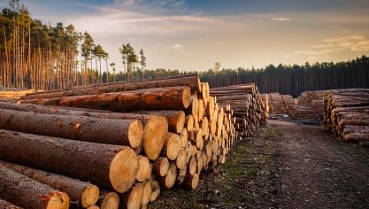 L’entrée en vigueur du texte a été repoussée d’une année pour laisser aux opérateurs le temps de s’adapter et s’appliquera à partir du 30décembre 2025.