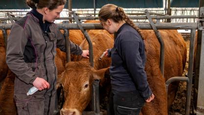 AdobeStock_1199630465