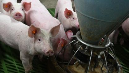 Cette évolution est principalement due à une reprise partielle de la production d