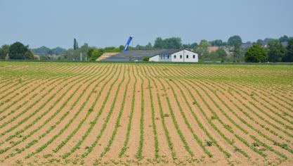 DSC_8735